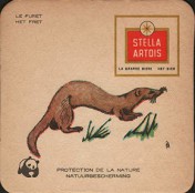Stella_Artois