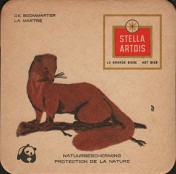Stella_Artois